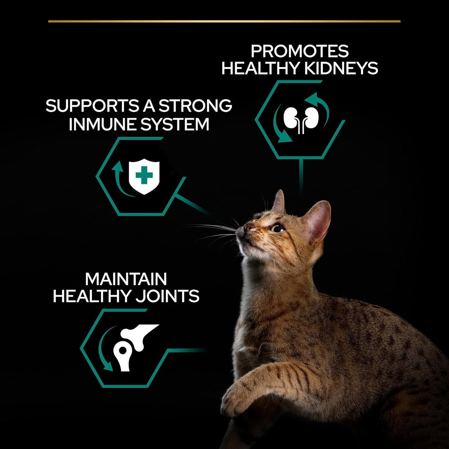Pro Plan Adult Renal Plus Everyday Dry Cat Food With Chicken, 3 Kg